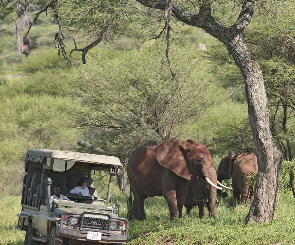 Tarangire National Park